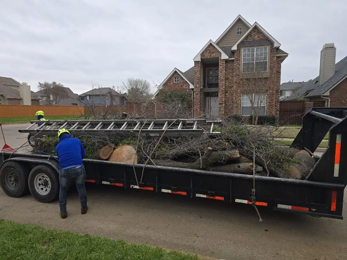 Expert Lot Clearing with proper safety equipment in Readville